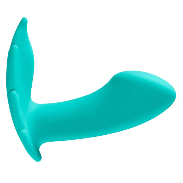 Cloud 9 Novelties Female Sex Toys Cloud 9 Wireless Remote Control Panty Leaf Vibe